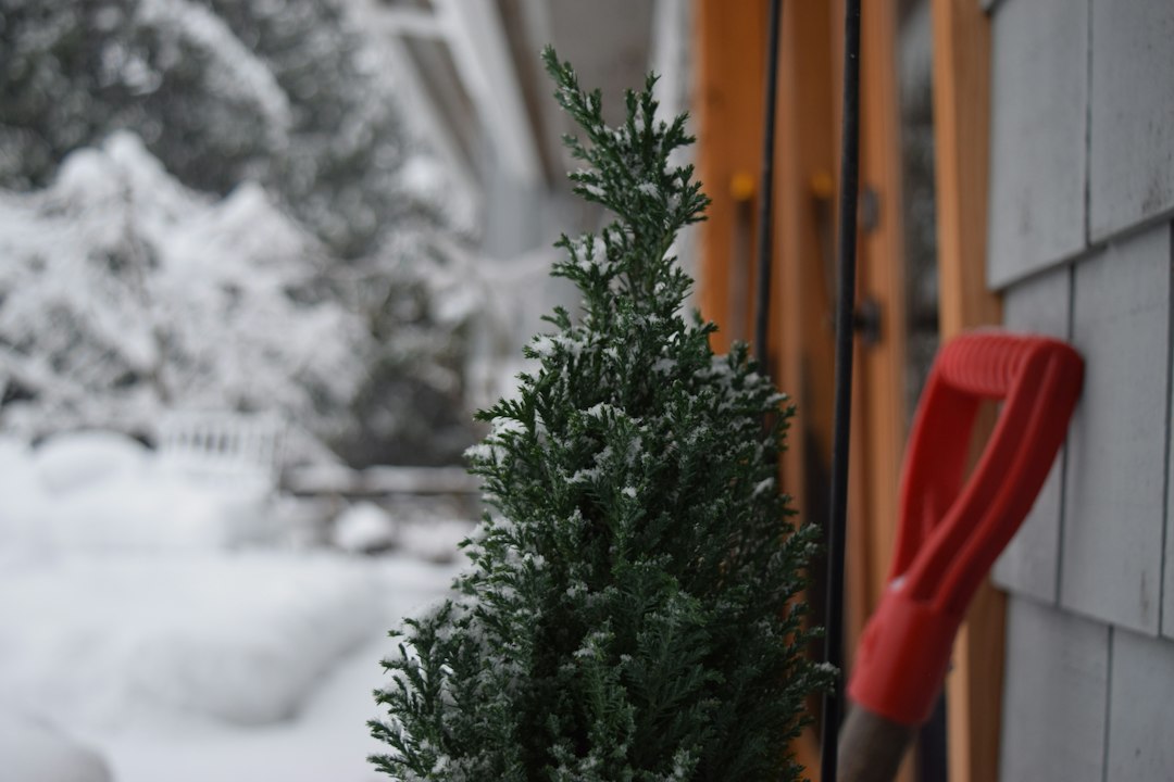 Déneigement à la pelle de l'entrée d'un immeuble